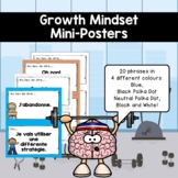 FRENCH Growth Mindset Posters