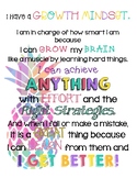 Growth Mindset Quote Posters Pineapple Theme