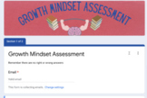 Growth Mindset Survey [Google Form]