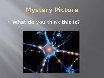 Preview of Growth Mindset / Brain: Mystery Picture PowerPoint