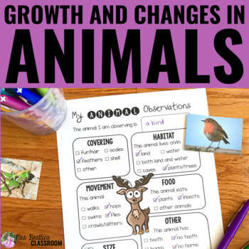 Preview of Growth and Changes in Animals Grade 2 - Complete Animal Unit & Research Project