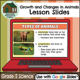Growth and Changes in Animals Slides for Google Slides™ (G