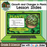 Growth and Changes in Plants Lesson Slides for Google Slid