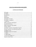 Guía a las Reglas Básicas del Español (Guide to the Basic 