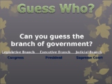 Guess The Branch Of Government Game