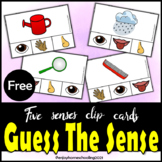 Guess The Sense (5 senses Clip cards)