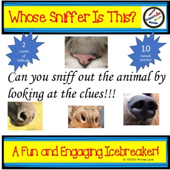 Preview of Whose Sniffer is This?- A Fun and Engaging Icebreaker!