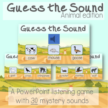 Guess the Sound Listening Game Activity Animal Insects Special Education