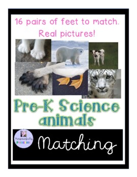 Preview of Pre-K Science Feet Matching
