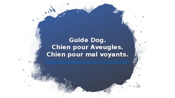 Preview of Guide Dog Movie Talk French PowerPoint Presentation