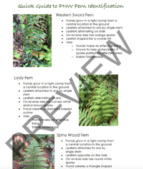 Preview of Guide to Pacific North West Ferns - Plant Identification Field Guide Outdoor