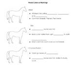 Guided/Coloring Notes: Horse Colors & Markings (4H, FFA, E