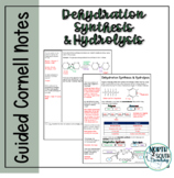 Guided Cornell Notes - Dehydration Synthesis and Hydrolysis