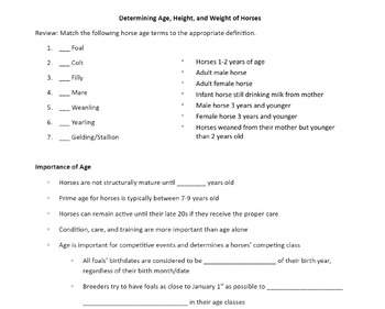 Preview of Guided Notes- Determining Age, Height, & Weight of a Horse (4H, FFA)