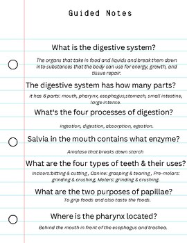 Preview of Guided Notes - Digestive System Powerpoint