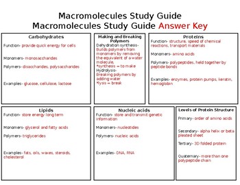 macromolecules close reading assignment