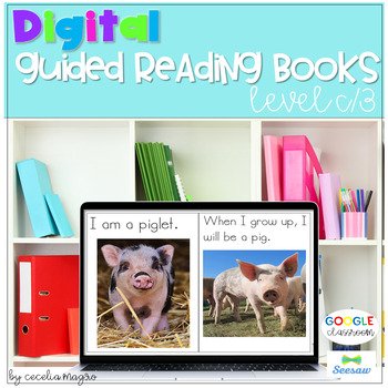 Preview of Guided Reading Books Level C 3 Google and Seesaw