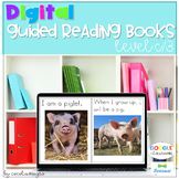 Guided Reading Books Level C 3 Google and Seesaw