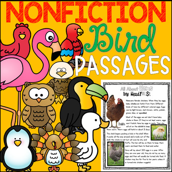 Preview of Birds Reading Comprehension Passages Questions Writing Activities Bundle