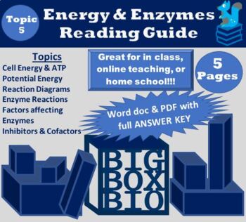 Preview of Guided Reading: Energy, Chemical Reactions, ATP, and Enzyme-Substrate Reactions