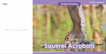 Preview of Guided Reading I Level 3 GR1-L3-U1-LC1-20 Squirrel Acrobats