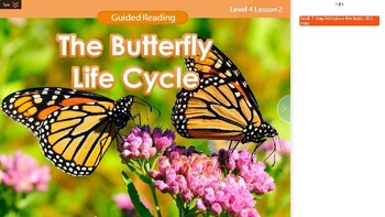 Preview of Guided Reading I Level 4 GR1-L4-U1-LC1-2 The Butterfly Life Cycle