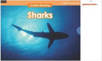 Preview of Guided Reading I Level 4 GR1-L4-U1-LC1-55 Sharks