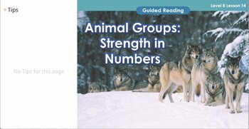 Preview of Guided Reading Level 8 GR2-L8-U1-LC1-14 Animal Groups Strength in Numbers