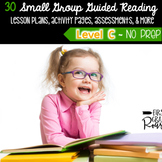Guided Reading LEVEL C Lesson Plans & Activities Small Group 