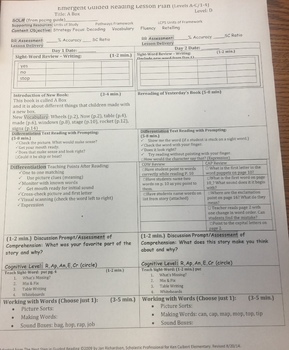 Preview of Guided Reading Lesson Plan Level D from LLI Kit- A Box