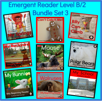 Guided Reading Level 2 or B Billy Beginning Reader Bundle