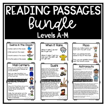 Preview of Reading Comprehension and Fluency Passages Levels A-M Bundle