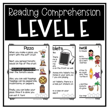 Preview of Reading Comprehension Passages Level E