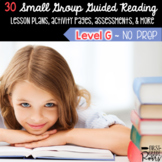 Guided Reading Level G Lesson Plans & Activities for Small Group