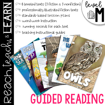 Preview of Guided Reading Level M | Distance Learning