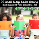 Guided Reading Level M Lesson Plans & Activities for Small Group