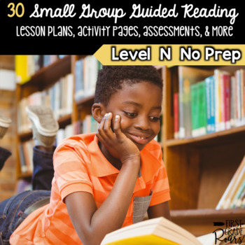 Preview of Guided Reading Level N Lesson Plans & Activities for Small Group