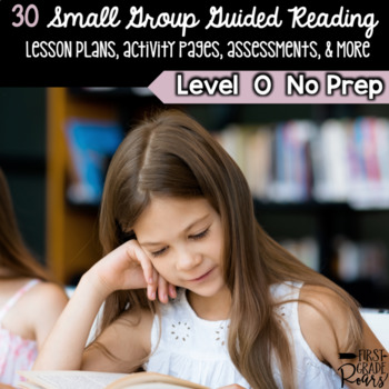 Preview of Guided Reading Level O Lesson Plans & Activities for Small Group