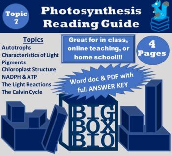Preview of Guided Reading: Photosynthesis, Autotrophs, Light Reactions, & the Calvin Cycle
