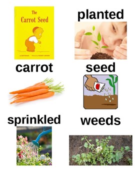Preview of Guided Reading/Read Aloud Plan THE CARROT SEED Level G by Ruth Krauss