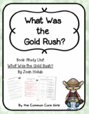 Comprehension Questions/Literacy Activities: What Was the 