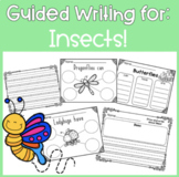 Guided Writing for Insects/Bugs!
