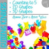 Kindergarten Math Unit 1 - 2D & 3D Shapes, Same & Different, Counting, Numerals
