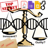 Guilty or Innocent? DNA Profiling Activity :Google Drive :Digital
