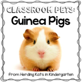Guinea Pig Classroom Pet