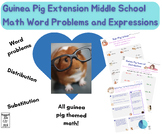 Guinea Pig Extension Middle School Math Word Problems and 