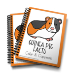 Guinea Pig Facts Color & Copywork