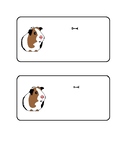 Guinea Pig Name Plates