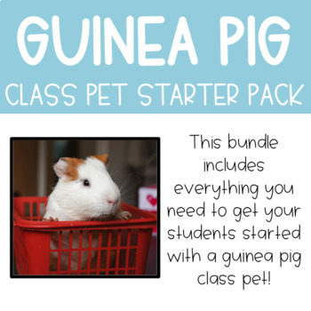 Preview of Guinea Pig Starter Pack Bundle