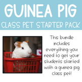 Guinea Pig Starter Pack Bundle